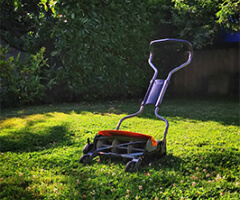 Reformas e Revitalizações de Jardins em Itaim Bibi