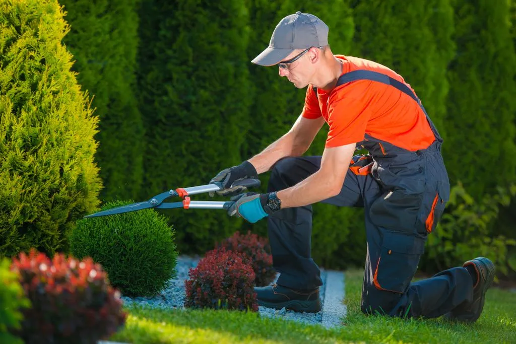 Manutenção de Jardim Externo em Itaim Bibi