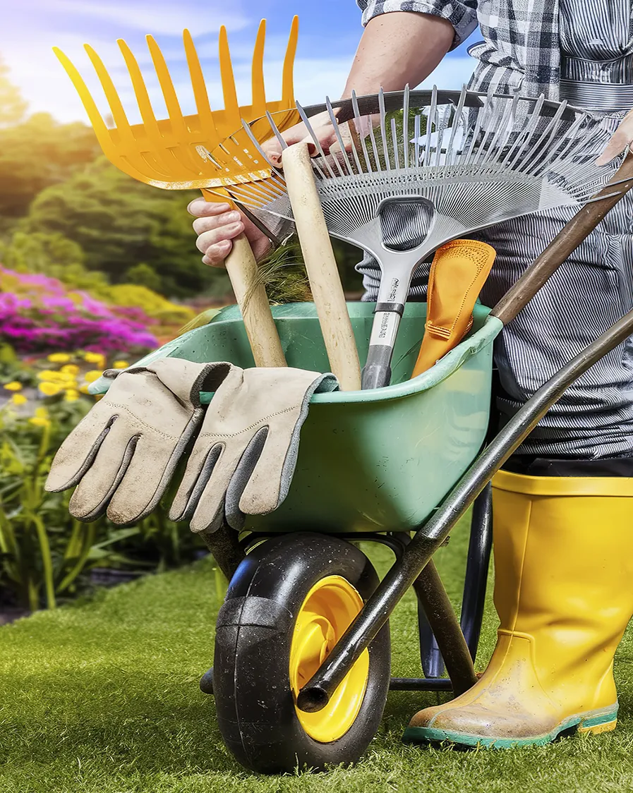 Manutenção de Jardins de Condomínio em Sumaré