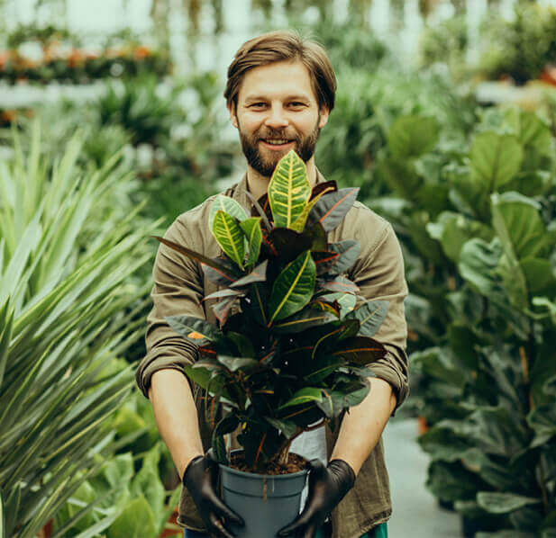 Manutenção de Jardins de Condomínio em Sumaré