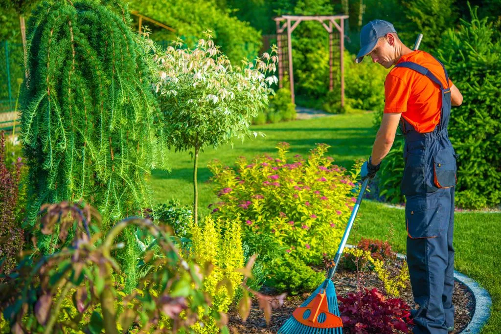 Manutenção de Jardins de Condomínio em Sumaré