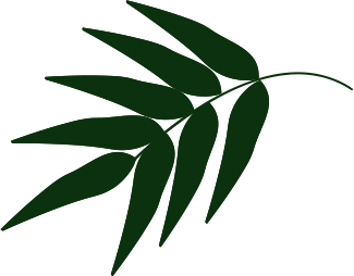 Manutenção de Jardins de Condomínio em Sumaré